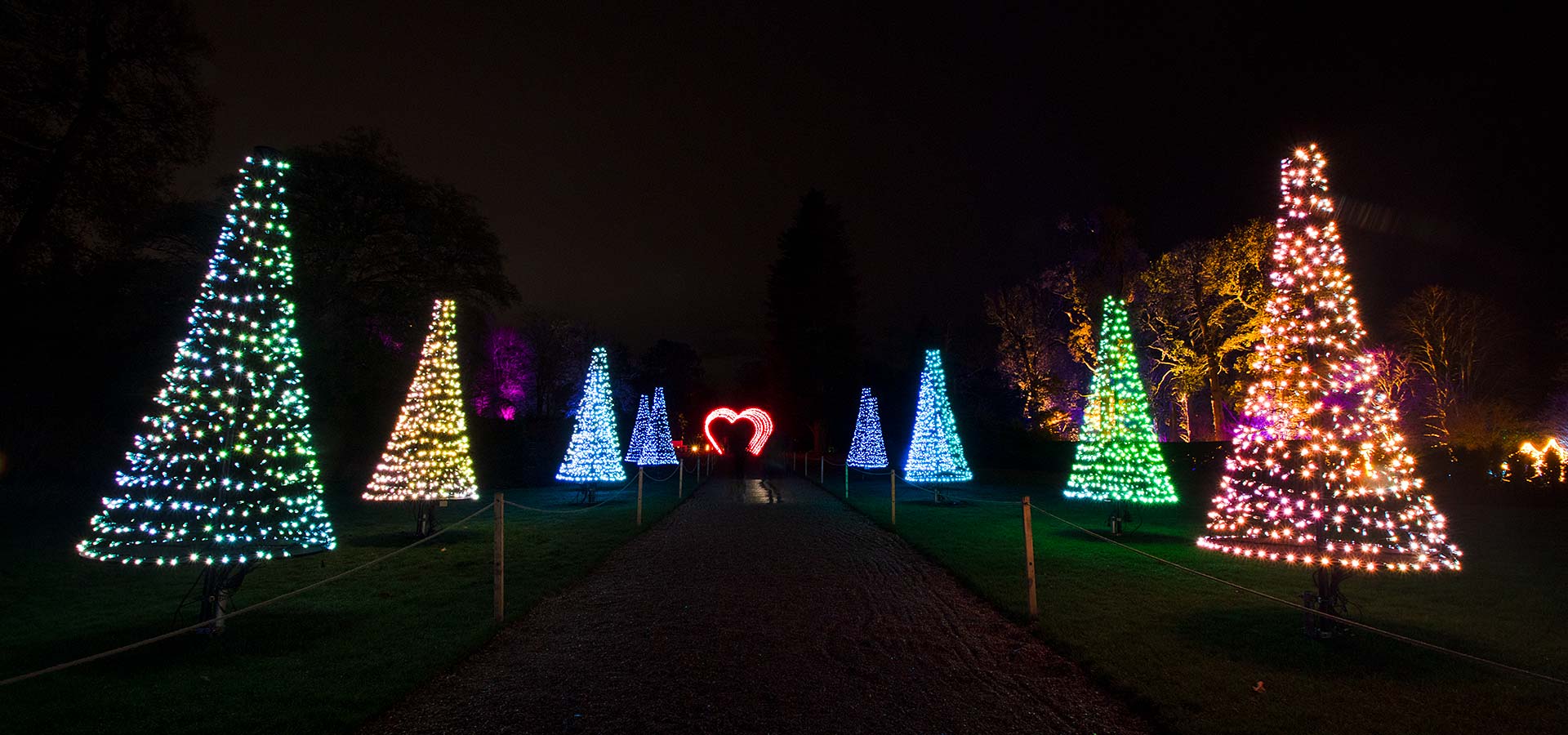 Photos of Kingston Lacy Christmas Trail insidedorset